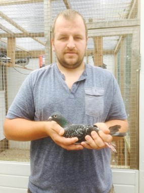 27 Hen